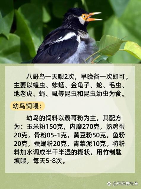 巨乳被艹的相关介绍