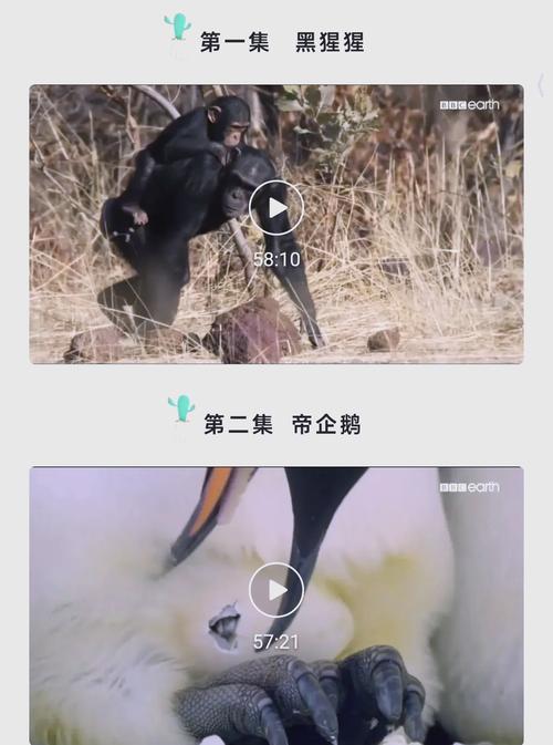 女性排出黄色分泌物是什么原因的相关介绍