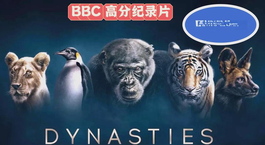 黄色录像黄色黄色录像的相关介绍