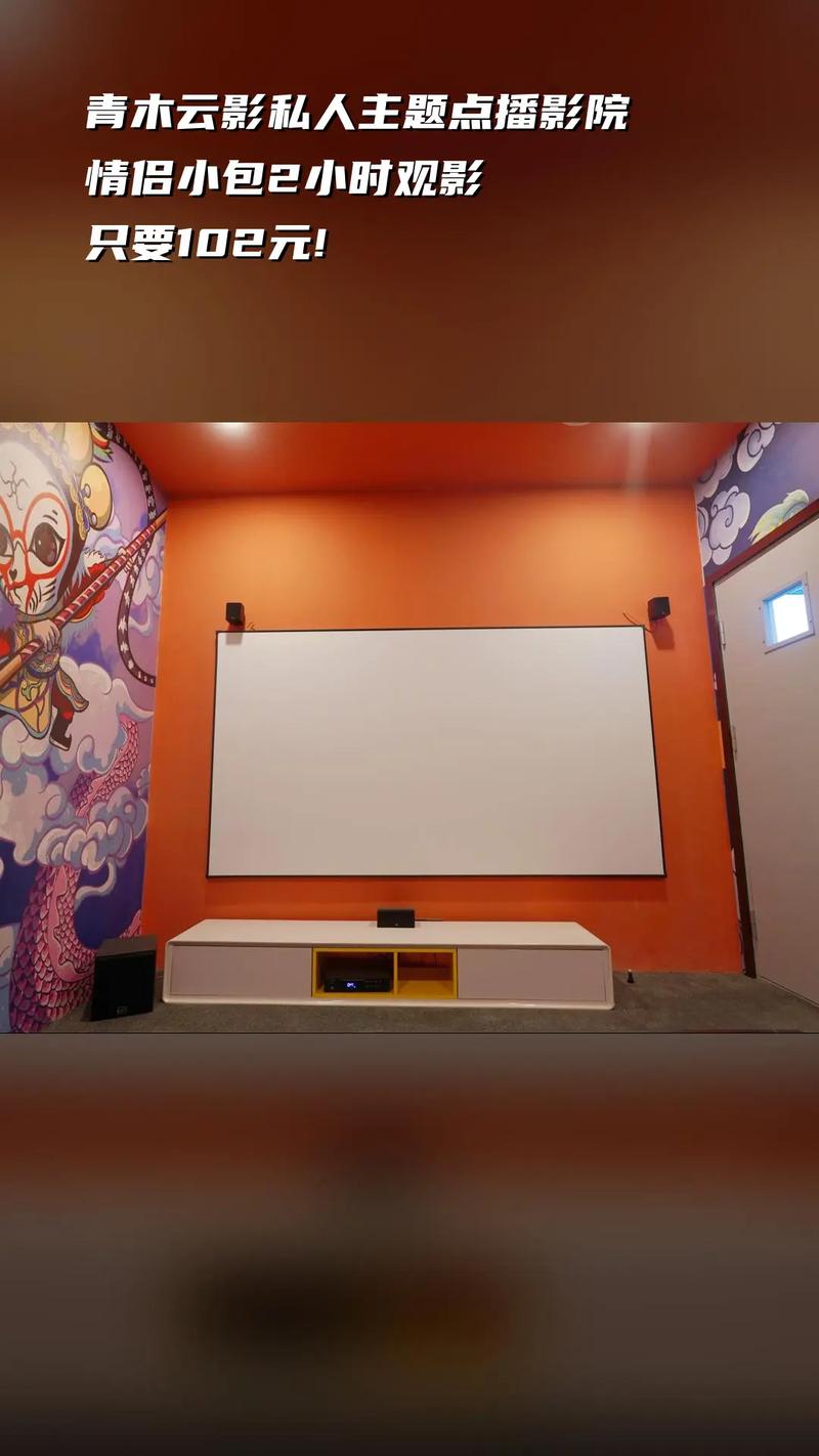 国产精品亚洲v色的相关介绍