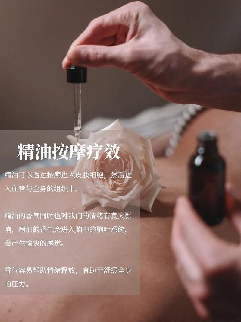 天涯影院的相关介绍