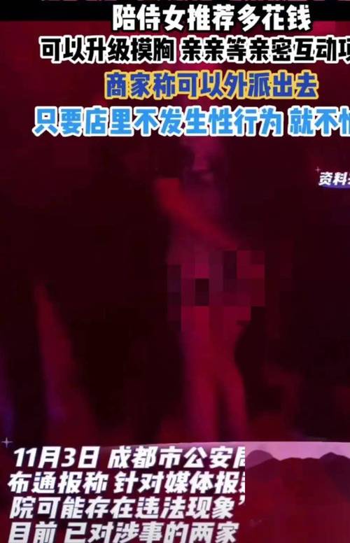 中国老熟妇av在线的相关介绍