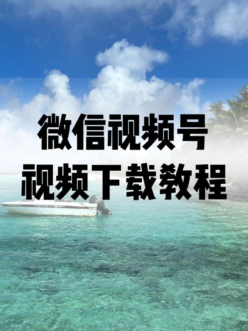 av毛片av毛片av毛片的相关介绍