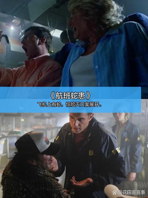 小九影院六度影院的相关介绍
