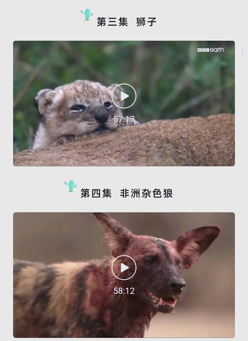秋霞影院杨贵妃的相关介绍