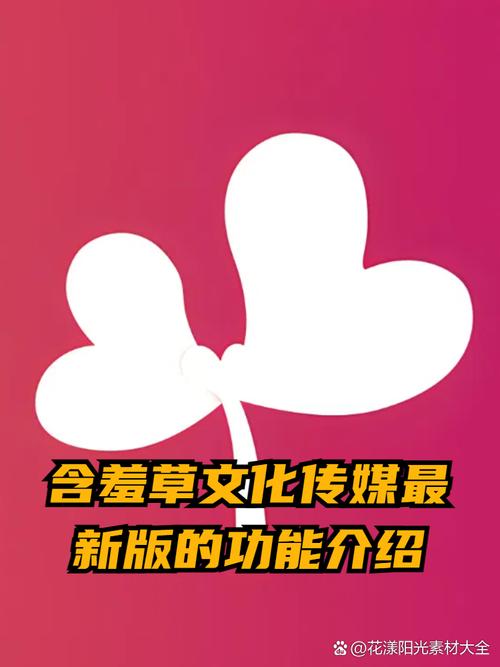 深夜18款app的相关介绍