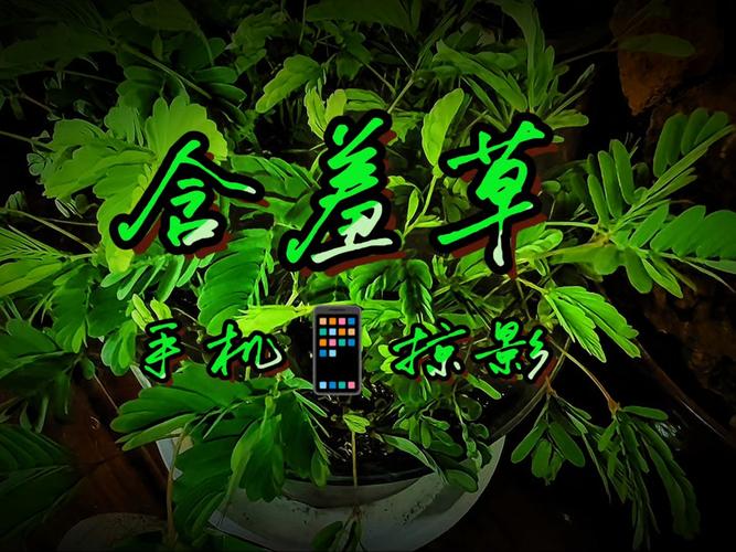 人妻少妇免费一区的相关介绍