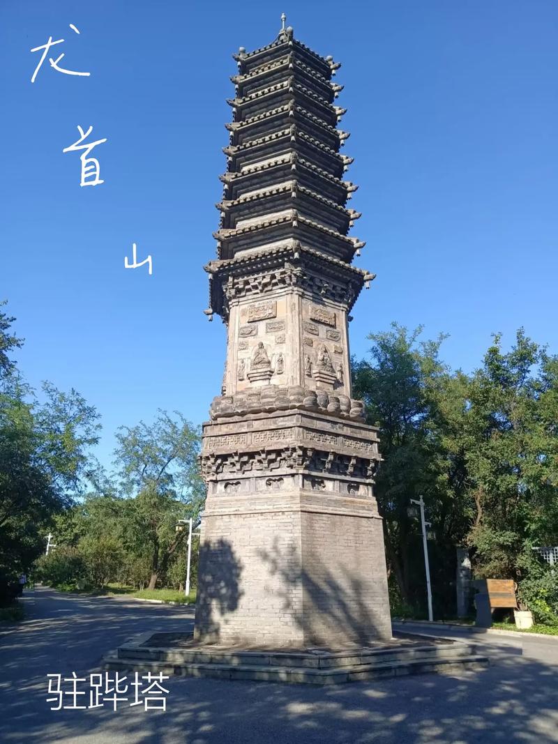 张柏芝大尺度图片的相关介绍