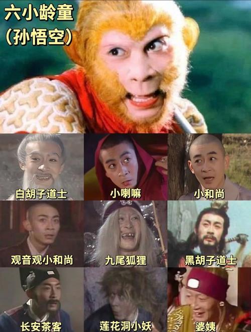 泰迪影院的相关介绍