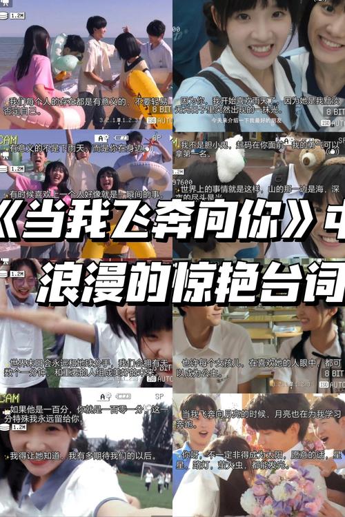 av少妇性网的相关介绍