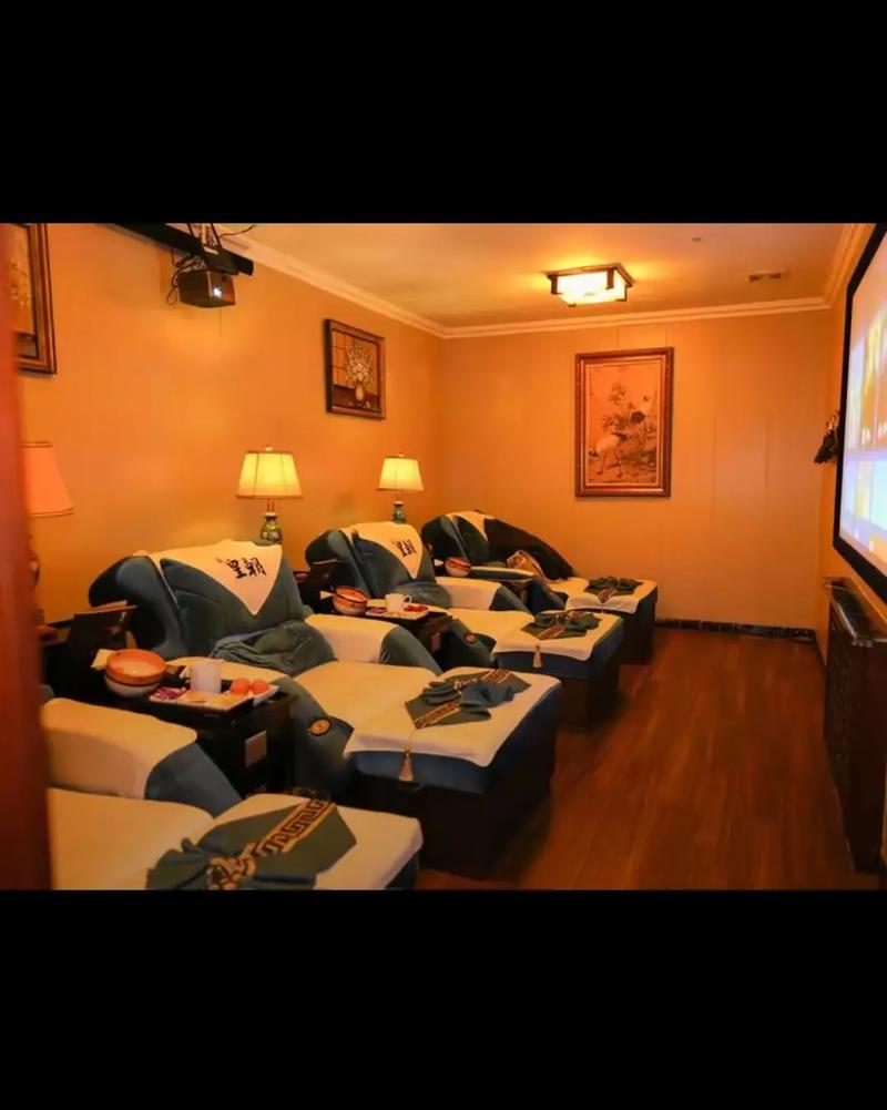 飘花手机电影院手机影的相关介绍