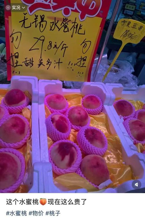 老湿机影院免x的相关介绍