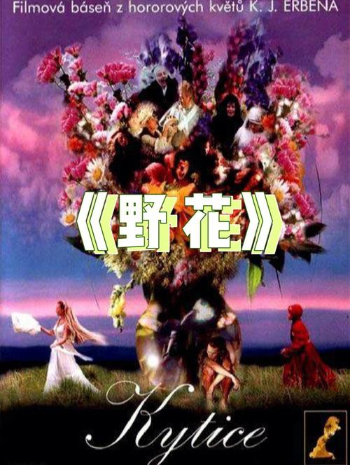 杨幂早期大尺度写真的相关介绍