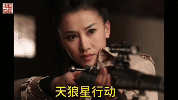 久久久久久国内精品的相关介绍