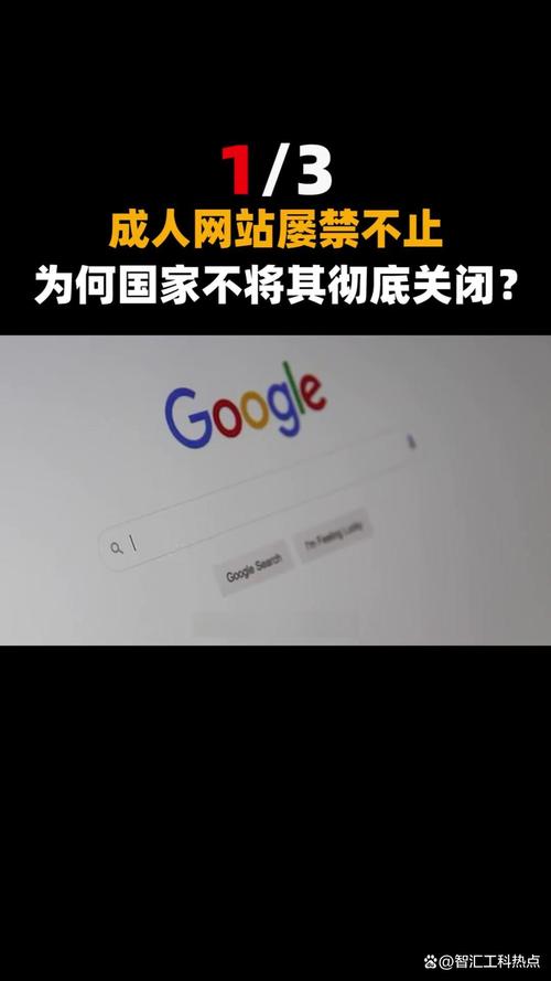 午夜精品久久久久久不卡av的相关介绍