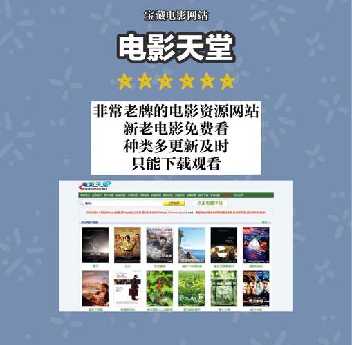顶级女人在线免费观看的相关介绍