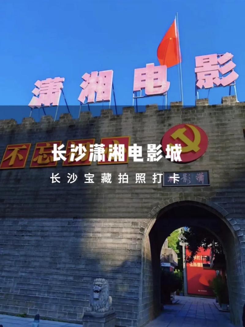 国语久久激情网的相关介绍