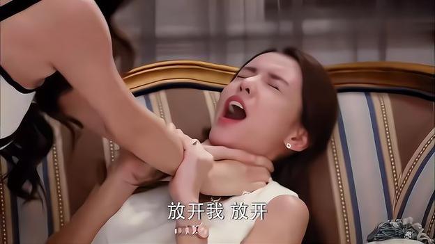 二八影院的相关介绍