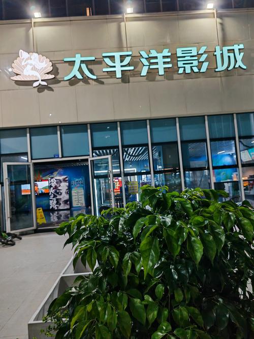 成人久久激情的相关介绍
