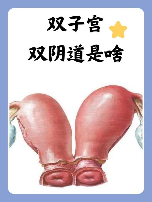 日本特殊按摩精油的相关介绍