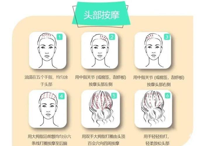 欧美成人综合激情在线的相关介绍
