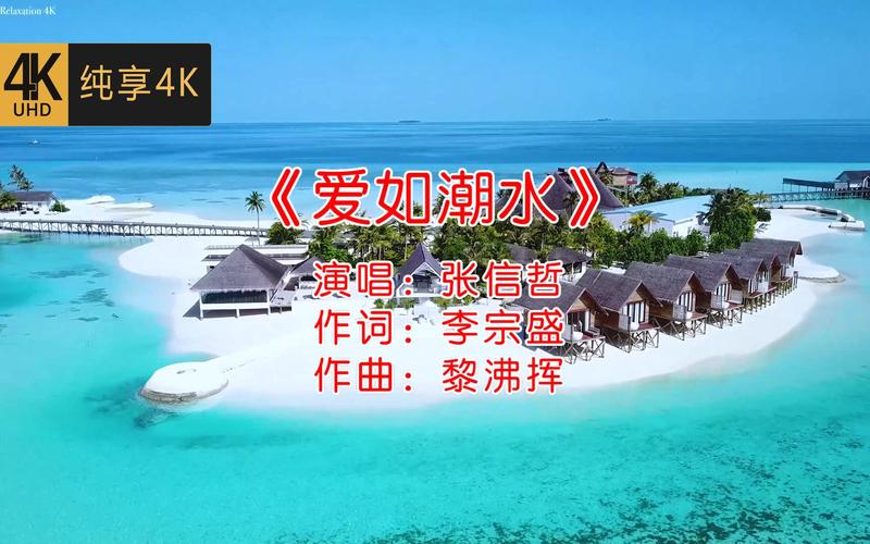 国产av爽av久久久久久19色的相关介绍