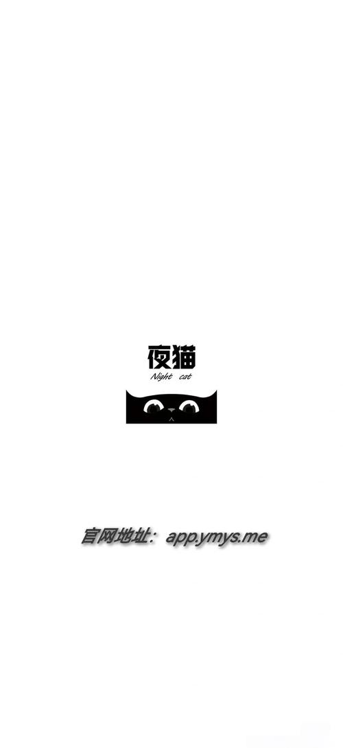 野猫影院的相关介绍