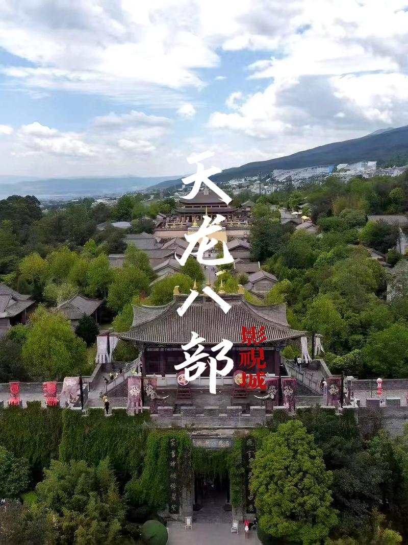 女人黄色录像的相关介绍