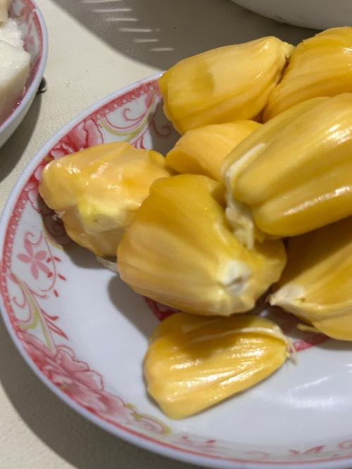 激情午夜久久的相关介绍