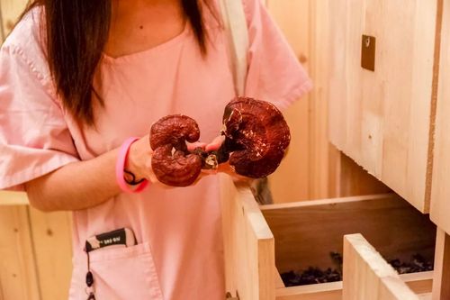 后入人妻少妇的小说的相关介绍