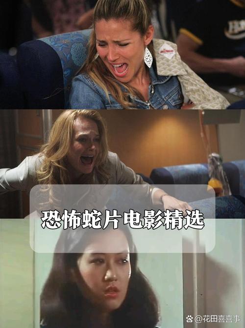 熟妇av观看的相关介绍