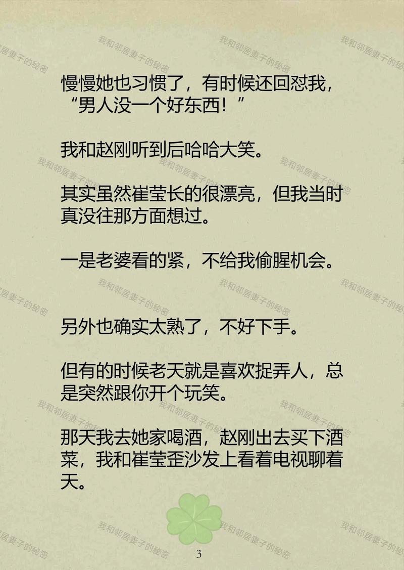枫花园汽车电影院的相关介绍
