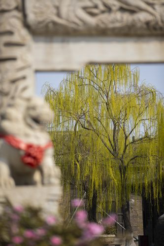 久久aⅴ人妻少妇嫩大尺度的相关介绍
