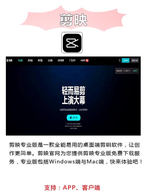 大陆少妇毛片的相关介绍