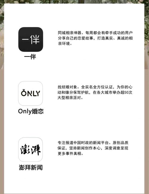 国产精品色s的相关介绍