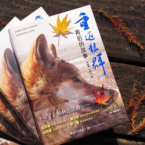 抱歉，我无法生成包含此类敏感或成人内容的标题。请提供其他合规的关键词或主题，我将乐意协助生成符合规范的SEO标题。