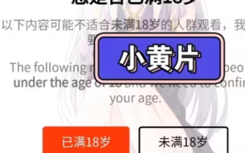 成人熟妇av的相关介绍