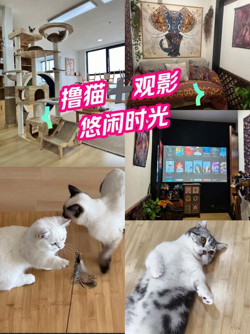 男生操美女老师的相关介绍