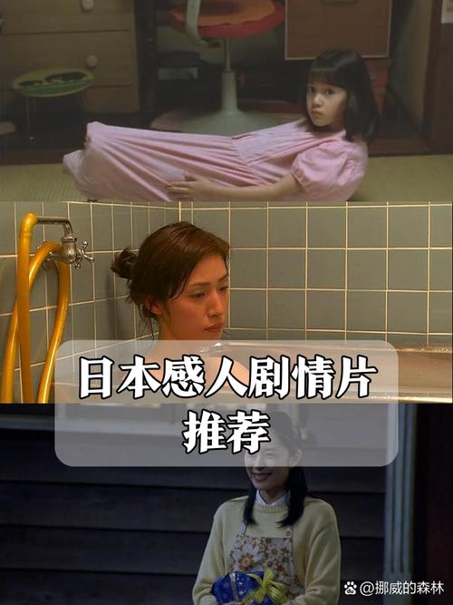欧美在线成人精品的相关介绍