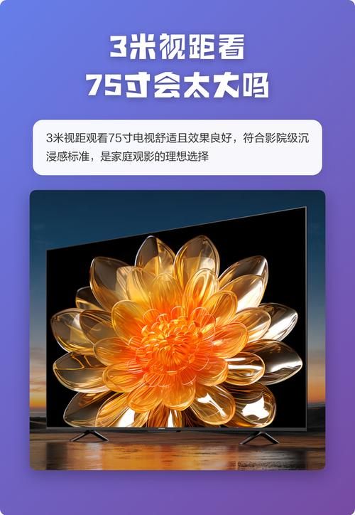 狂操美女老师视频的相关介绍