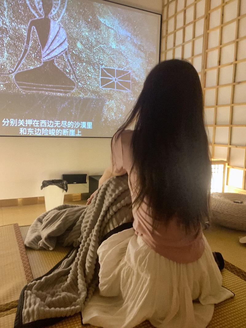 成人影院在线欧美的相关介绍