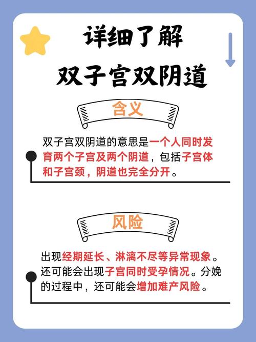 少妇的av天堂的相关介绍