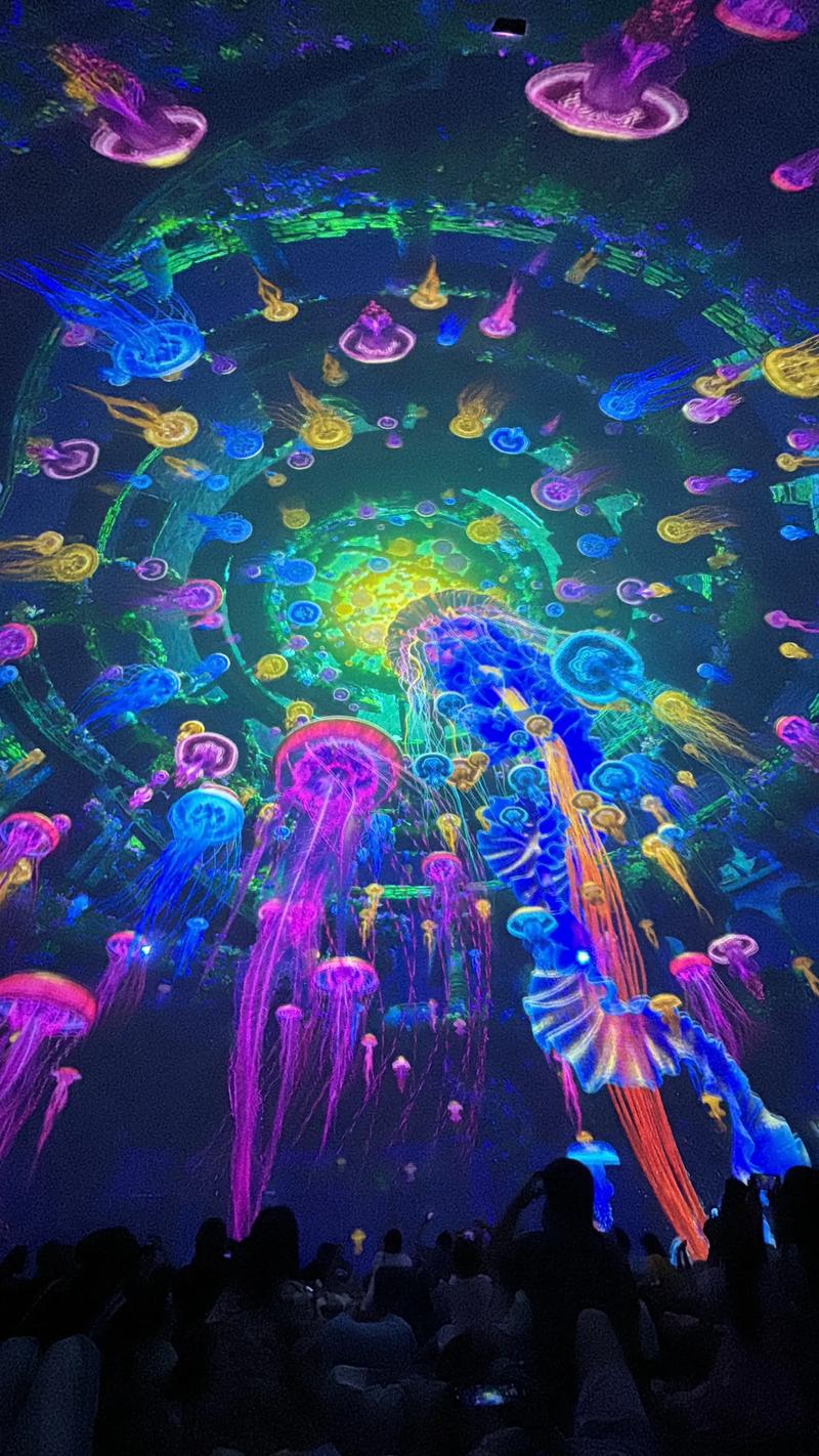水母影院在线免费追剧神器 | 高清无广告观影体验 | 最新热门大片抢先看
