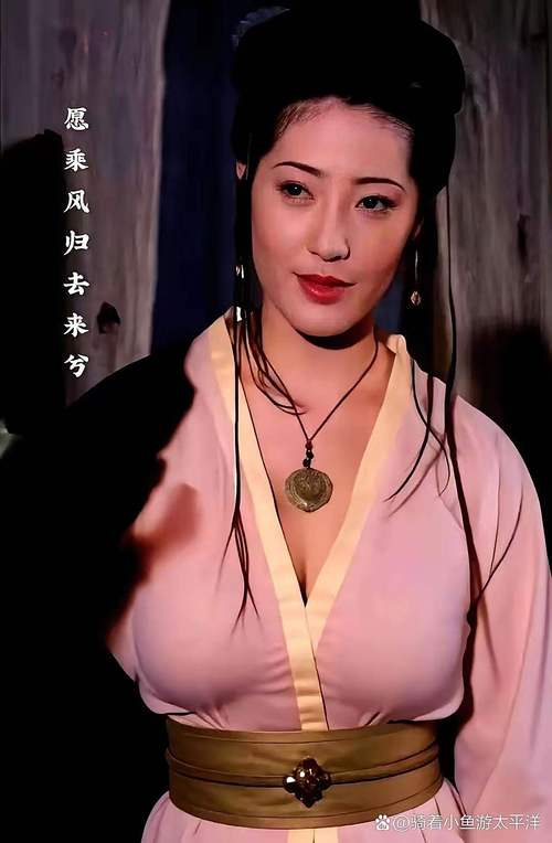 久久久激情区的相关介绍