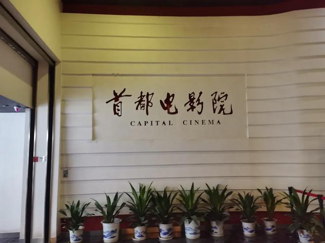 秀色影院的相关介绍