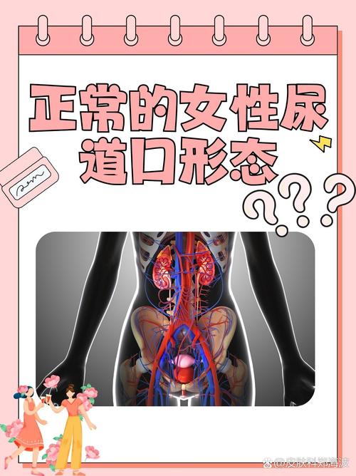 邯郸电影院的相关介绍