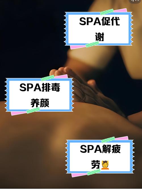 三级黄色黑丝av的相关介绍