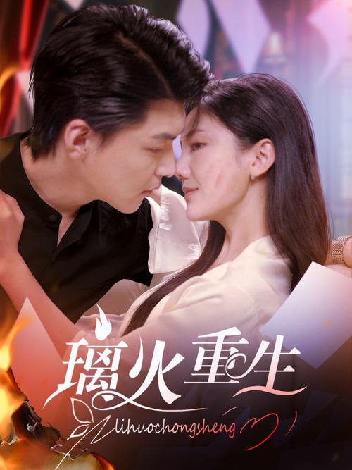 极速影院手机版的相关介绍