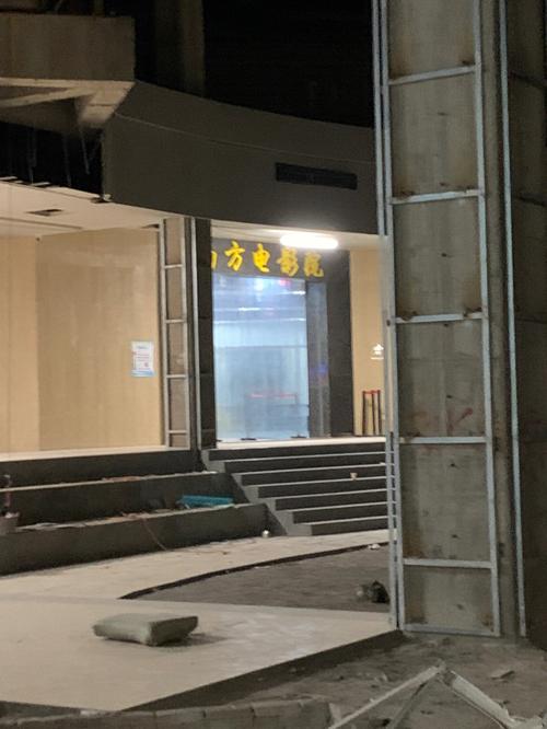 东北老妇女毛片的相关介绍