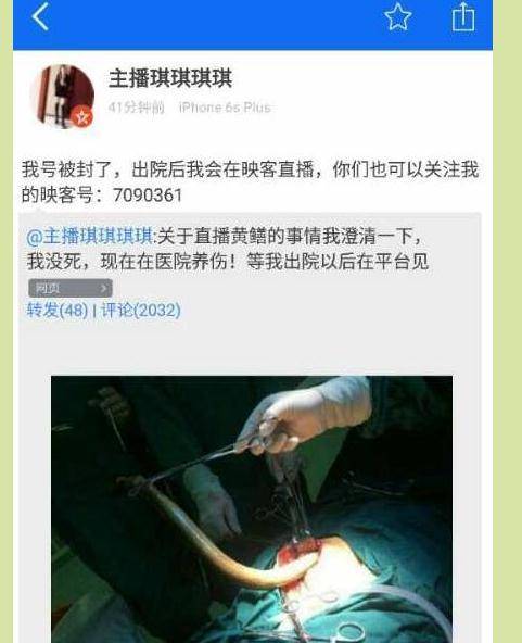 男女调教文高h的相关介绍
